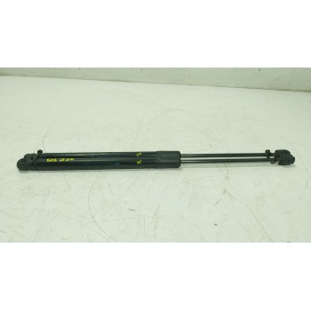 AMORTIGUADORES MALETERO / PORTON 844300009R 