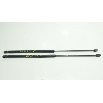 AMORTIGUADORES MALETERO / PORTON 65796000 4163NU 