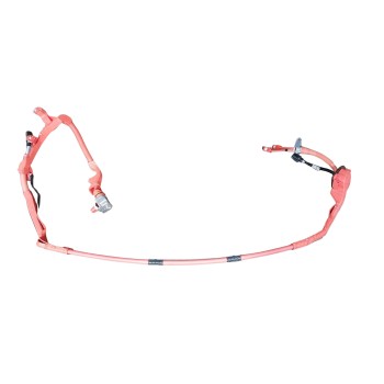MODULO ELECTRONICO 821H10D010 