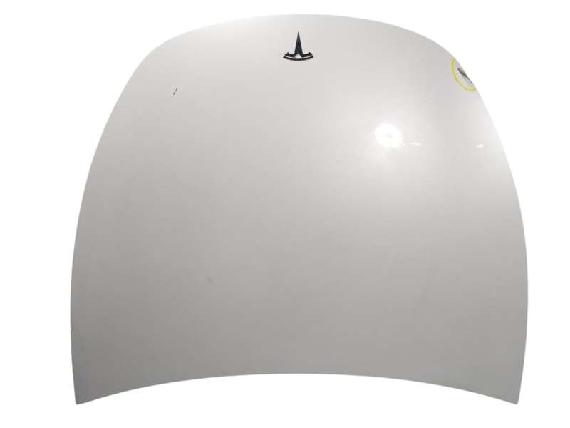Recambio de capot delantero para tesla model y ev perfomance a las 4 ruedas referencia OEM IAM   