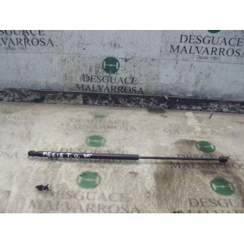 AMORTIGUADORES MALETERO / PORTON 