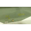 Recambio de cristal puerta trasero derecho para volkswagen golf viii (cd1, da1) 2.0 tdi referencia OEM IAM   