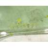 Recambio de cristal puerta delantero derecho para mazda cx-5 2.2 turbodiesel cat referencia OEM IAM KD5358510A  