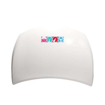 CAPOT DELANTERO 651009833R 