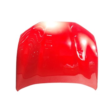 CAPOT DELANTERO 2815574 