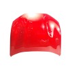 Recambio de capot delantero para ford usa mustang mach-e (cgw) ev referencia OEM IAM 2815574  