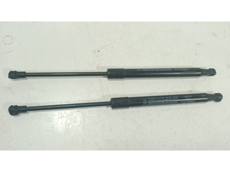 Recambio de amortiguadores maletero / porton para fiat 500l (351_, 352_) 1.4 (199lyb1b) referencia OEM IAM  51923979 