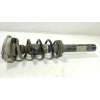 Recambio de amortiguador delantero izquierdo para audi a4 b9 avant (8w5, 8wd) 35 tdi referencia OEM IAM   