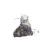 Recambio de caja cambios para bmw x3 (e83) 2.0 d referencia OEM IAM 23003439814  