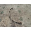 Recambio de sonda lambda para mg mg tf 135 referencia OEM IAM   