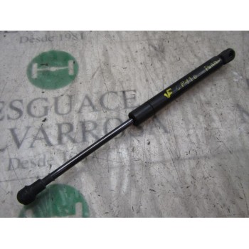 AMORTIGUADORES MALETERO / PORTON 