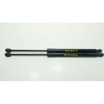 AMORTIGUADORES MALETERO / PORTON 2232153 G1B5A406A10AC 