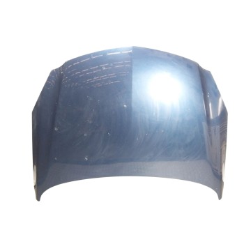 CAPOT DELANTERO 13276949 