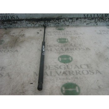 AMORTIGUADORES MALETERO / PORTON 