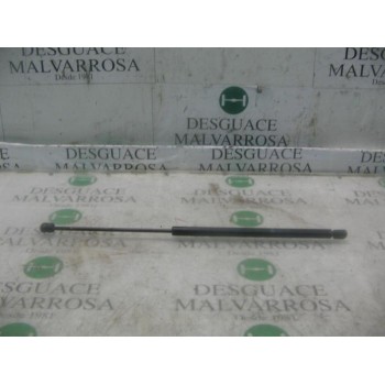 AMORTIGUADORES MALETERO / PORTON 