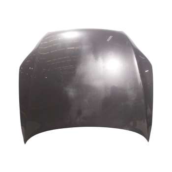 CAPOT DELANTERO 4L0823029A 