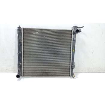 RADIADOR AGUA 253102Y000 