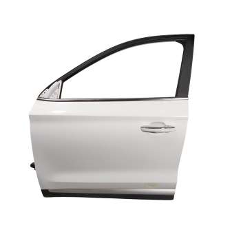 PUERTA DELANTERA IZQUIERDA 