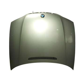 CAPOT DELANTERO 41617065256 
