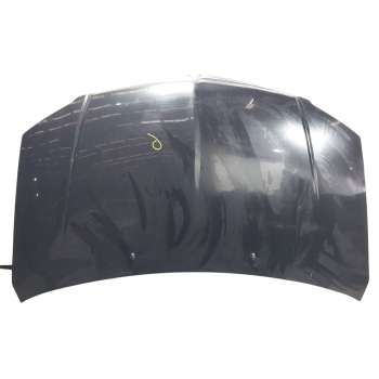 CAPOT DELANTERO 4894794AE 