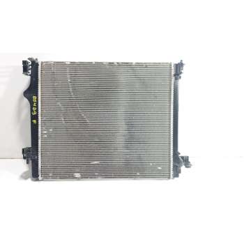 RADIADOR AGUA 214107104R 