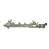 Recambio de rampa inyectora para volkswagen sharan (7n1, 7n2) 2.0 tdi referencia OEM IAM  03L089N0310 