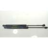 Recambio de amortiguadores maletero / porton para fiat 500x (334_) 1.6 (334axe1a) referencia OEM IAM  00520315180 