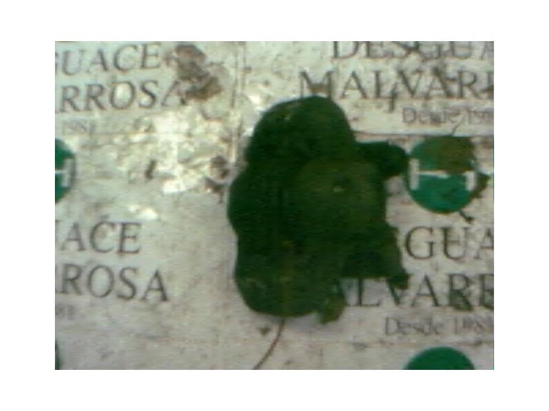 Recambio de pinza freno delantera izquierda para renault rapid/express (f40) 1.6 diesel referencia OEM IAM   