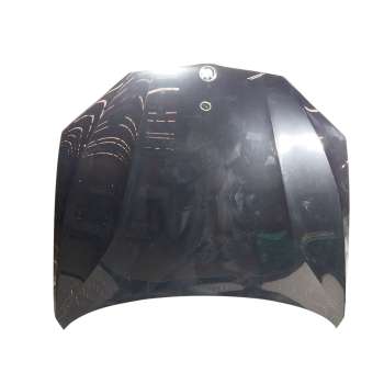 CAPOT DELANTERO 41007381758 