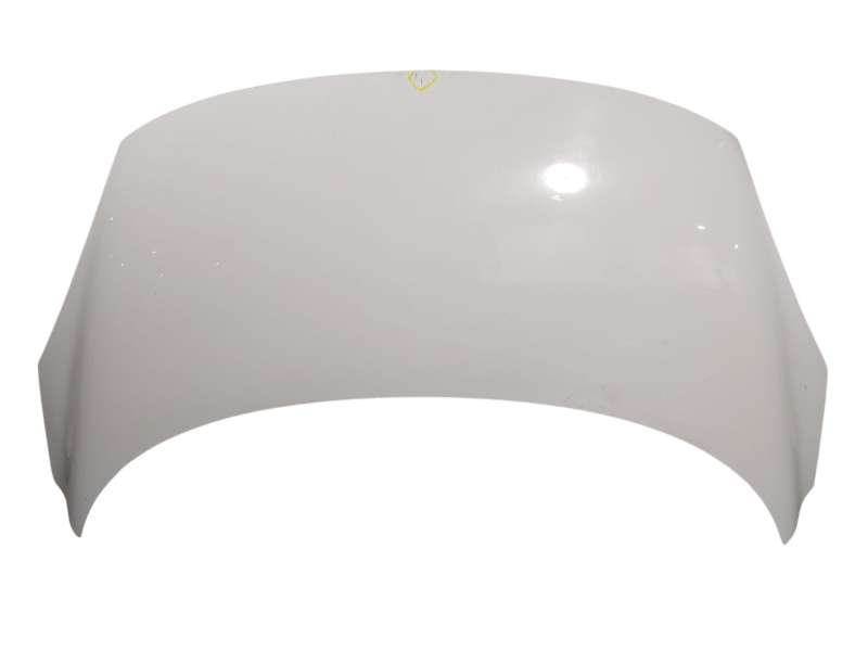 Recambio de capot delantero para renault scénic iii (jz0/1_) 1.5 dci referencia OEM IAM   