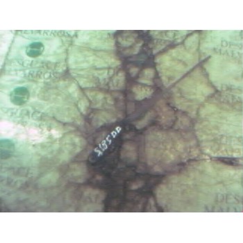 BRAZO LIMPIA DELANTERO DERECHO 