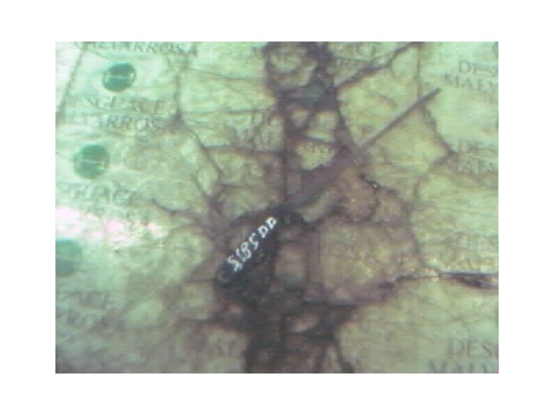 Recambio de brazo limpia delantero derecho para alfa romeo 156 (116) 2.0 t.spark distinctive referencia OEM IAM   