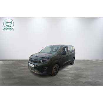 CITROËN BERLINGO MULTISPACE (B9)