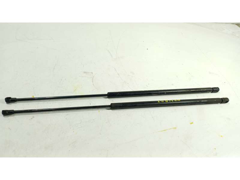 Recambio de amortiguador capot para bmw z4 roadster (e85) 2.2 i referencia OEM IAM  701617802 