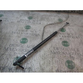 AMORTIGUADORES MALETERO / PORTON 