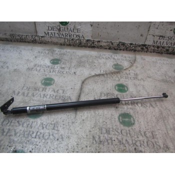 AMORTIGUADORES MALETERO / PORTON 