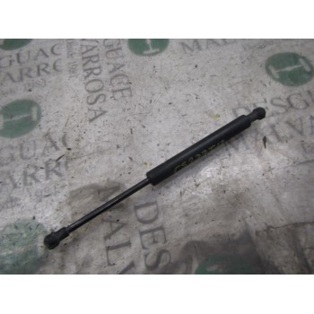 AMORTIGUADORES MALETERO / PORTON 