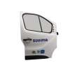Recambio de puerta delantera izquierda para nissan nv300 furgoneta (x82) 2.0 dci 145 referencia OEM IAM   