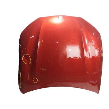 CAPOT DELANTERO 41007464711 