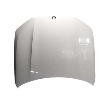 CAPOT DELANTERO 41007492375 