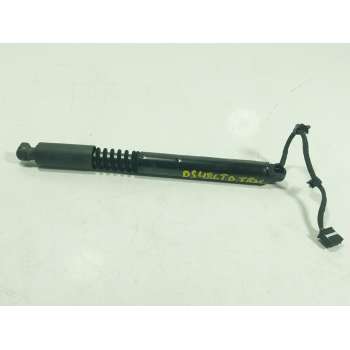 AMORTIGUADORES MALETERO / PORTON 10634410F 