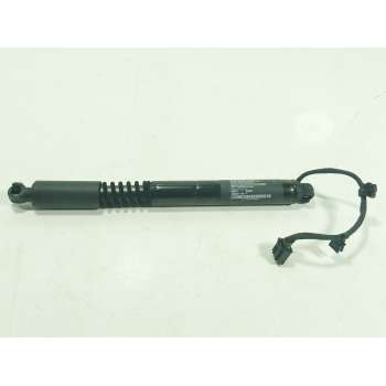 AMORTIGUADORES MALETERO / PORTON 106344100F 