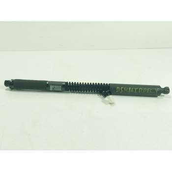 AMORTIGUADORES MALETERO / PORTON 106344000F 