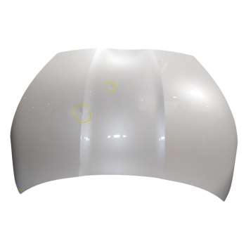CAPOT DELANTERO 53301K0010 
