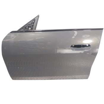 PUERTA DELANTERA IZQUIERDA 41009625095 