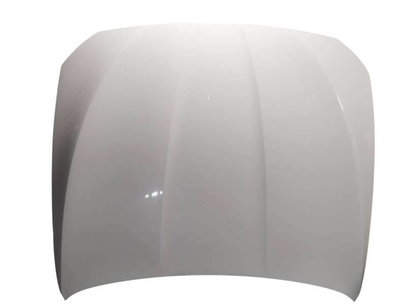 Recambio de capot delantero para bmw 5 (f10) 520 d referencia OEM IAM   
