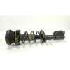 Recambio de amortiguador delantero derecho para nissan nv300 furgoneta (x82) 2.0 dci 145 referencia OEM IAM  543029028R 