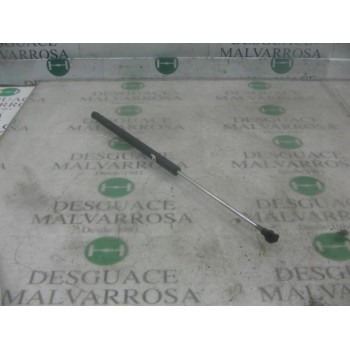 AMORTIGUADORES MALETERO / PORTON 